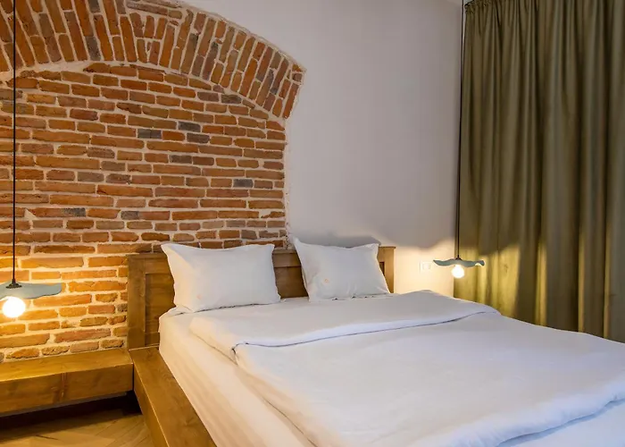 Hans Benkner - Premium In Old Town Aparthotel Brasov